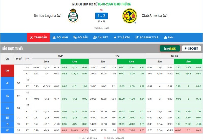 Khi soi kèo không còn là cảm tính: Bongda info giống như người dẫn đường thầm lặng